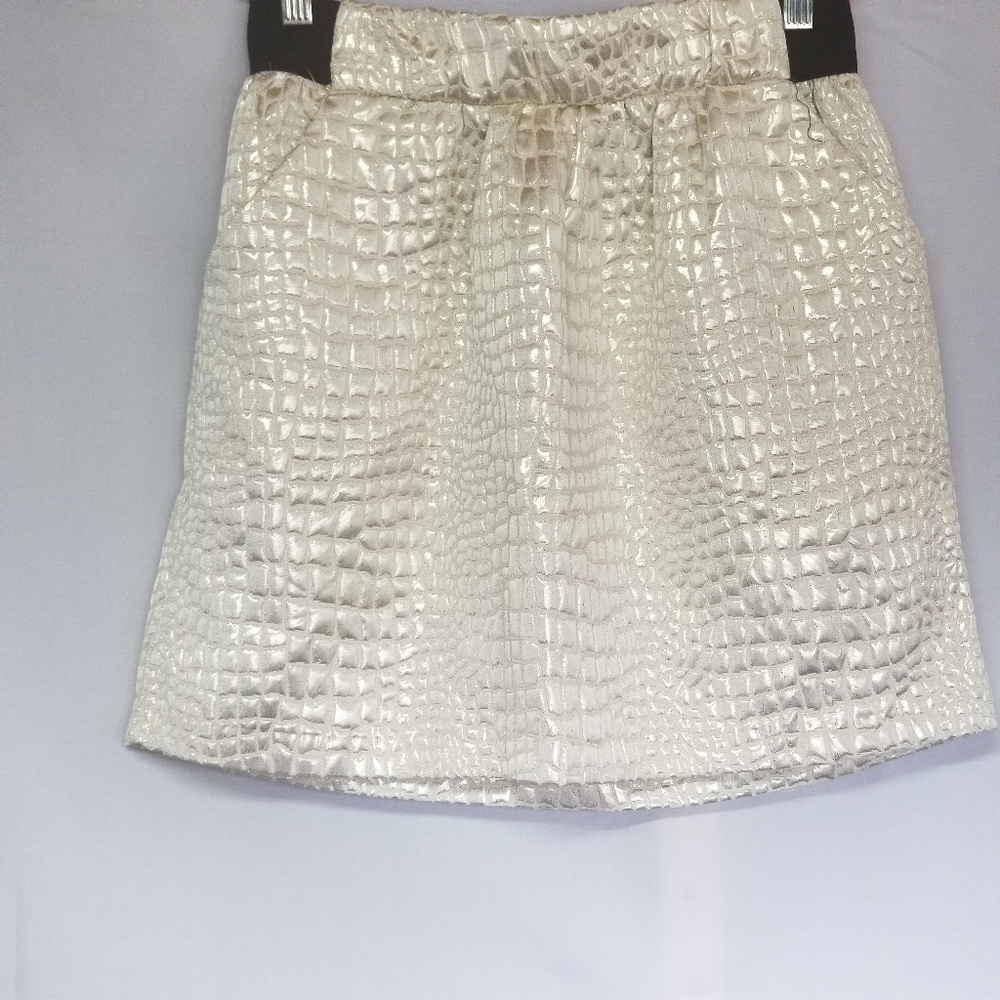 BCX Skirt